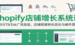 Shopify��������ϵͳ�Σ�FB��TikTok���Ͷ�ţ����̴ת���Ż����ʼ�Ӫ��