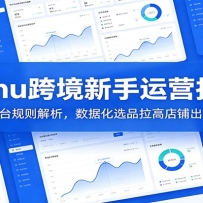 Temu�羳������Ӫָ�ϣ�����ƽ̨������������ݻ�ѡƷ���ߵ��̳���Ч��