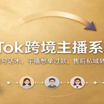 TikTok�羳����ϵͳ�Σ��º���Ż�����ƽ���ﵥ����ۺ�˽��ת����ѧ