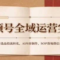 ��Ƶ��ȫ����Ӫʵս���˺���תѡƷͶ��ת����AI����������SOP���΢����̬