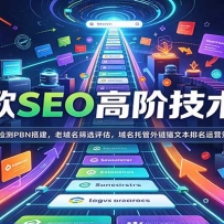 �ȸ�SEO�߽׼����Σ������PBN���������ɸѡ�����������й�����ê�ı���