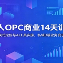 AI����OPC��ҵ14��ѵ��Ӫ����ҵģʽ��λ��AI����ʵ�٣�˽��B��ҵ����ַ���