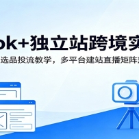 TikTok+����վ�羳ʵս�Σ�ȫ������ѡƷͶ����ѧ����ƽ̨��վֱ���������