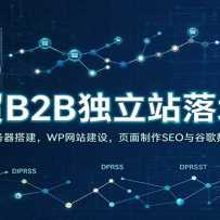 ��óB2B����վ��ؿΣ��������������WP��վ���裬ҳ������SEO��ȸ�����