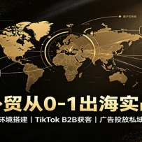 ��ó��0-1����ʵս���˺Ż������TikTok B2B��ͣ����Ͷ��˽��ת��